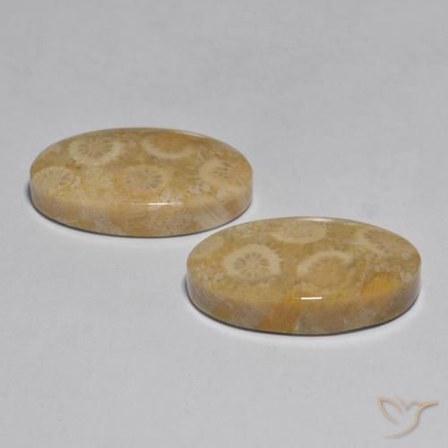 Shop natural 27.96ct マルチカラー サンゴ gems, 楕円形, from インドネシア at GemSelect. In stock, global shipping!