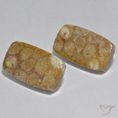 Shop natural 31.51ct マルチカラー サンゴ gems, クッション, from インドネシア at GemSelect. In stock, global shipping!