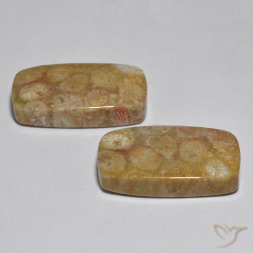 Shop natural 31.51ct マルチカラー サンゴ gems, クッション, from インドネシア at GemSelect. In stock, global shipping!
