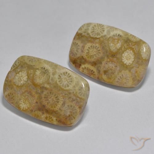 Shop natural 24.97ct マルチカラー サンゴ gems, クッション, from インドネシア at GemSelect. In stock, global shipping!