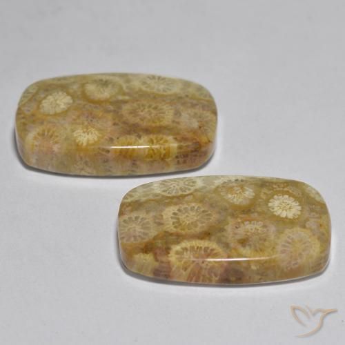 Shop natural 24.97ct マルチカラー サンゴ gems, クッション, from インドネシア at GemSelect. In stock, global shipping!