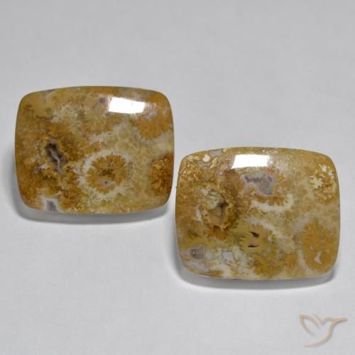 Shop natural 30.85ct マルチカラー サンゴ gems, クッション, from インドネシア at GemSelect. In stock, global shipping!