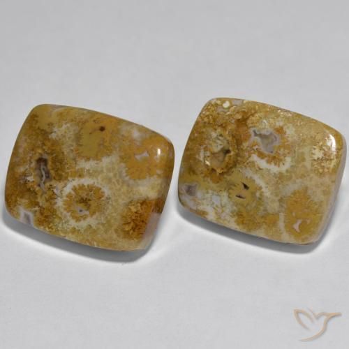 Shop natural 30.85ct マルチカラー サンゴ gems, クッション, from インドネシア at GemSelect. In stock, global shipping!