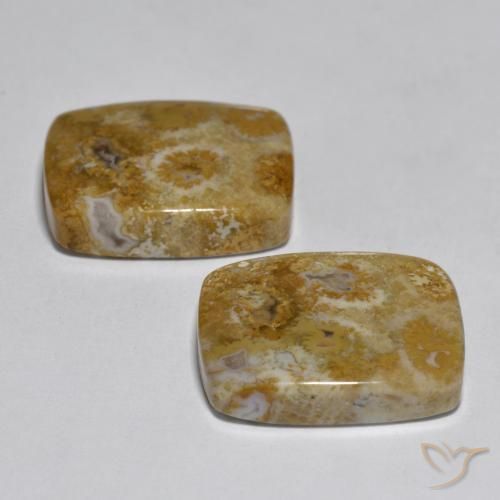 Shop natural 30.85ct マルチカラー サンゴ gems, クッション, from インドネシア at GemSelect. In stock, global shipping!