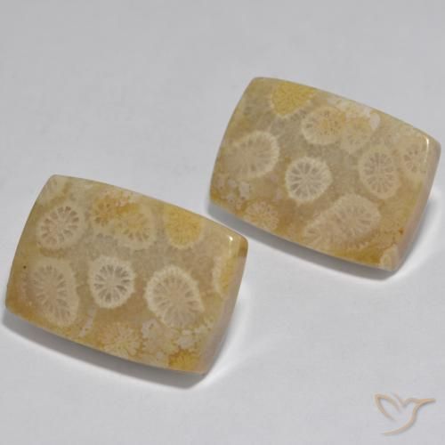 Shop natural 32.71ct マルチカラー サンゴ gems, クッション, from インドネシア at GemSelect. In stock, global shipping!