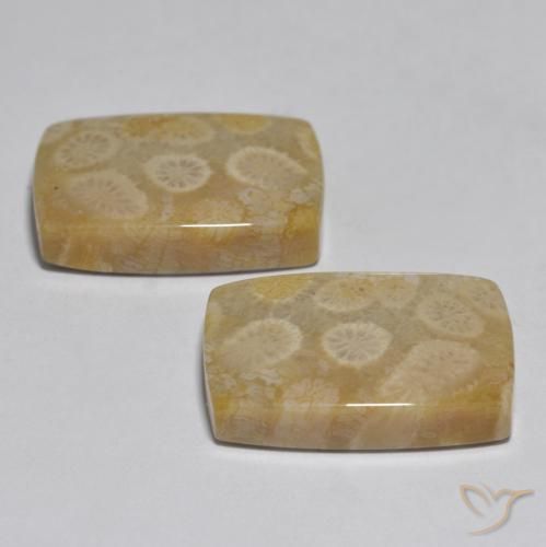 Shop natural 32.71ct マルチカラー サンゴ gems, クッション, from インドネシア at GemSelect. In stock, global shipping!