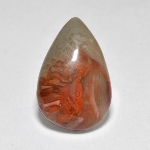 4.44カラットの天然マルチカラーサンゴ（14.9×10 mm・洋梨の形）