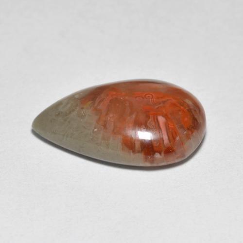 4.44カラットの天然マルチカラーサンゴ（14.9×10 mm・洋梨の形）