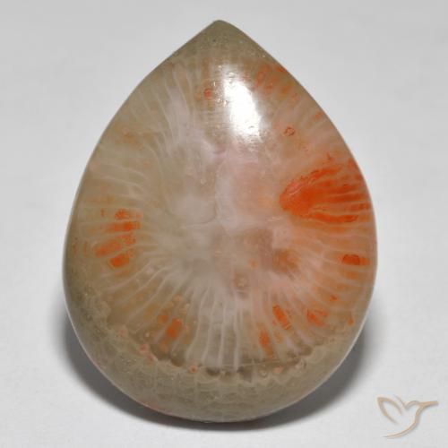 16.37ct 天然 マルチカラー サンゴ, 洋梨の形, 半透明