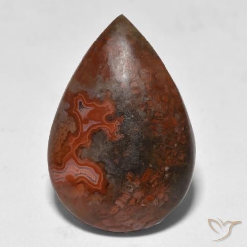 9.18ct 天然 マルチカラー サンゴ, 洋梨の形, 半透明