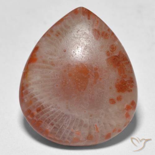 11.24カラットの天然マルチカラーサンゴ（19.1×16.3 mm・洋梨の形）