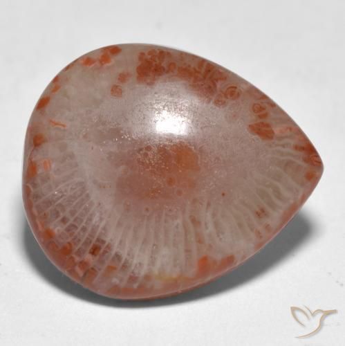 11.24カラットの天然マルチカラーサンゴ（19.1×16.3 mm・洋梨の形）