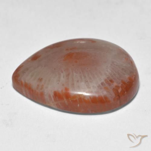11.24カラットの天然マルチカラーサンゴ（19.1×16.3 mm・洋梨の形）