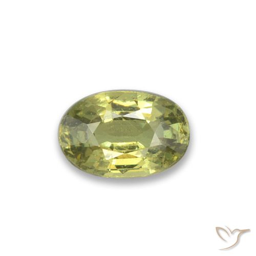 0.47ct 天然 ウォームフォレストグリーン デマントイドガーネット, 楕円形, VVS-VS