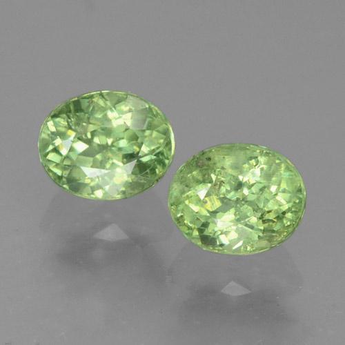 自然派の商品を探す 0.83ct ミディアムグリーン デマントイドガーネット 宝石, オーバルカット, ナミビア からGemSelectで. 在庫あり、世界各国へ発送!