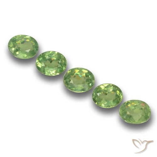 Shop natural 1.43ct ミディアムグリーン デマントイドガーネット gems, 楕円形, from ナミビア at GemSelect. In stock, global shipping!