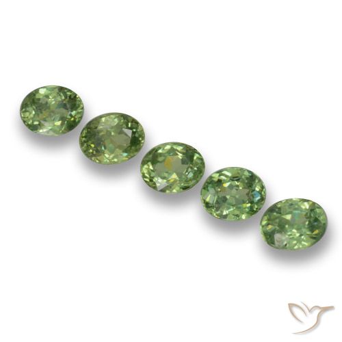 Shop natural 1.27ct ミディアムグリーン デマントイドガーネット gems, 楕円形, from ナミビア at GemSelect. In stock, global shipping!