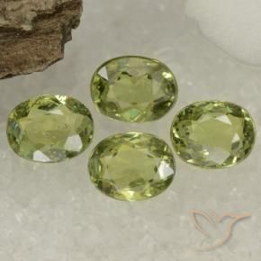 Shop natural 1.47ct オリーブグリーン デマントイドガーネット gems, 楕円形, from ナミビア at GemSelect. In stock, global shipping!
