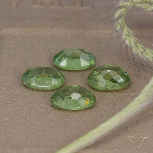 Shop natural 2.56ct フォレストグリーン デマントイドガーネット gems, 楕円形, from ナミビア at GemSelect. In stock, global shipping!