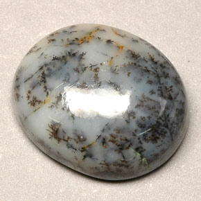 12.90カラットの天然マルチカラーデンドリティックアゲート（18.4×15.2 mm・オーバルカット）
