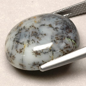 12.90カラットの天然マルチカラーデンドリティックアゲート（18.4×15.2 mm・オーバルカット）
