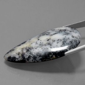 57.71カラットの天然マルチカラーデンドリティックアゲート（30.5×44.2 mm・洋梨の形）