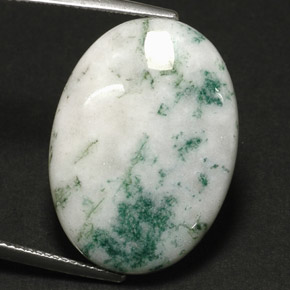 17.11カラットの天然マルチカラーデンドリティックアゲート（18.1×25.1 mm・オーバルカット）