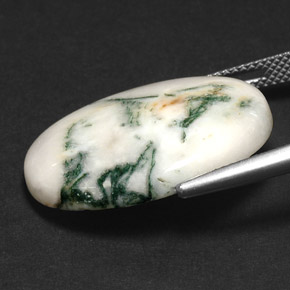 17.43カラットの天然マルチカラー樹状瑪瑙、オーバルカット、オペーク