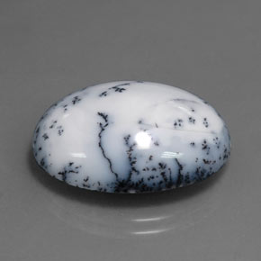 15.11カラットの天然ブラック＆ホワイトデンドリティックアゲート（22.2×16.6 mm・オーバルカット）
