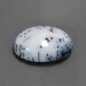 15.11カラットの天然ブラック＆ホワイトデンドリティックアゲート（22.2×16.6 mm・オーバルカット）