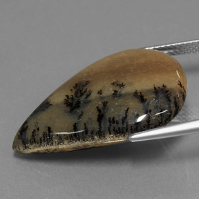 19.92カラットの天然マルチカラー樹状瑪瑙、洋梨の形、オペーク