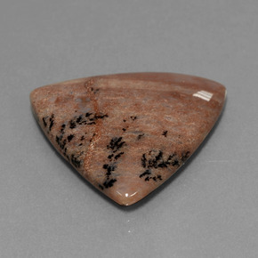 19.37カラットの天然マルチカラーデンドリティックアゲート（24.7×25.3 mm・トリリアント）