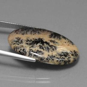 25.50カラットの天然マルチカラー樹状瑪瑙、オーバルカット、オペーク