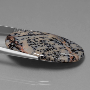 52.67カラットの天然マルチカラーデンドリティックアゲート（44.3×29.4 mm・オーバルカット）