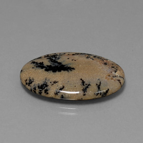 21.34カラットの天然マルチカラー樹状瑪瑙、オーバルカット、オペーク