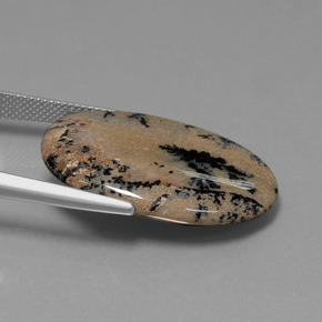 21.34カラットの天然マルチカラー樹状瑪瑙、オーバルカット、オペーク