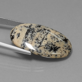 28.19カラットの天然マルチカラー樹状瑪瑙、オーバルカット、オペーク