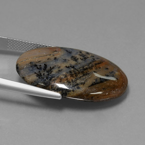 31.59カラットの天然マルチカラー樹状瑪瑙、オーバルカット、オペーク