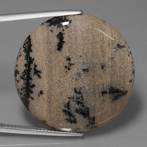 36.61カラットの天然マルチカラー樹状瑪瑙、ラウンドカット、オペーク