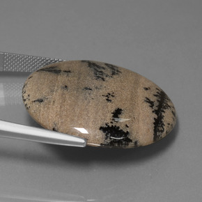 36.61カラットの天然マルチカラー樹状瑪瑙、ラウンドカット、オペーク