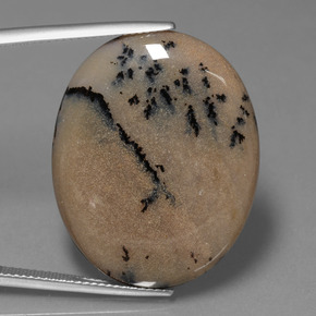 35.89カラットの天然マルチカラー樹状瑪瑙、オーバルカット、オペーク