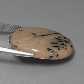 35.89カラットの天然マルチカラー樹状瑪瑙、オーバルカット、オペーク