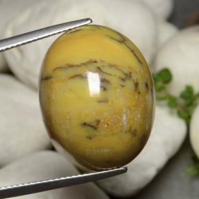 27.27カラットの天然マルチカラー樹状瑪瑙、オーバルカット、オペーク