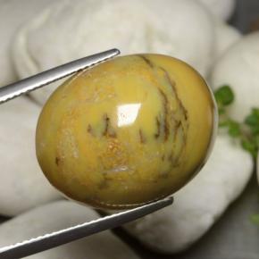 27.27カラットの天然マルチカラー樹状瑪瑙、オーバルカット、オペーク