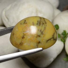 27.27カラットの天然マルチカラー樹状瑪瑙、オーバルカット、オペーク