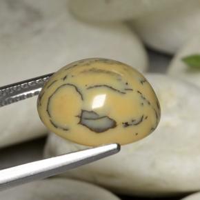 6.05カラットの天然マルチカラー樹状瑪瑙、オーバルカット、オペーク