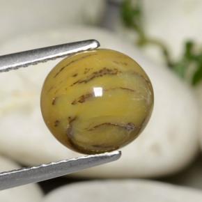 2.63カラットの天然マルチカラーデンドリティックアゲート（9.9×9.1 mm・オーバルカット）