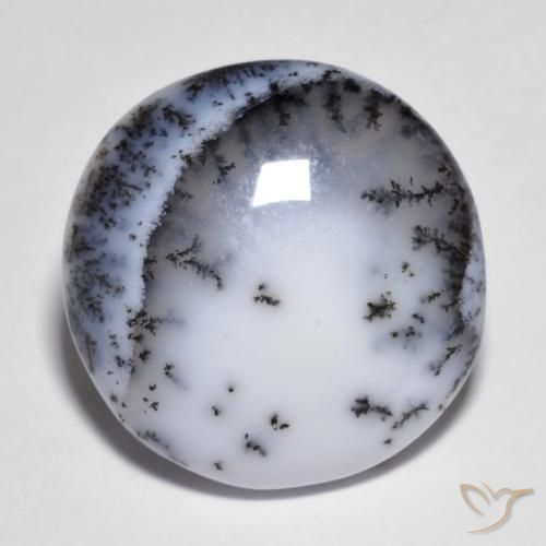 14.83カラットの天然マルチカラー樹状瑪瑙、ラウンドカット、オペーク