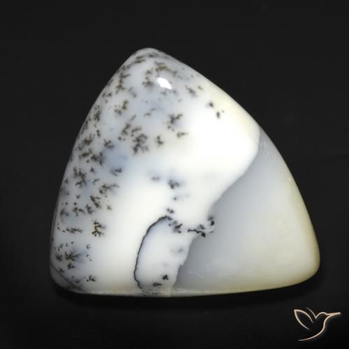 12.51ct 天然 白と黒 樹状瑪瑙, トリリオン, 半透明