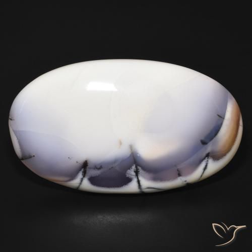 98.41ct 天然 白と黒 樹状瑪瑙, 楕円形, オペーク